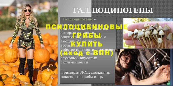 прущий лед Арсеньев