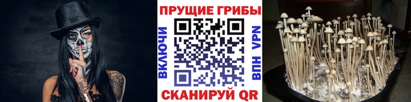 Галлюциногенные грибы мухоморы  Карачаевск 