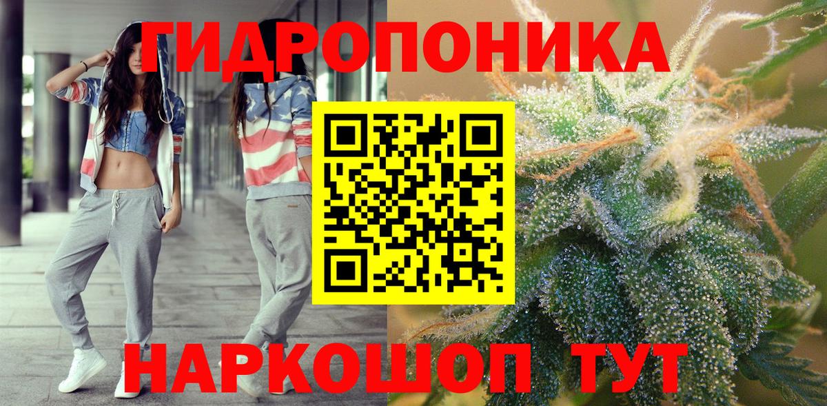 Канабис планчик  Вход с VPN  Каннабис SATIVA & INDICA  Бошки марихуана семена  Карачаевск 